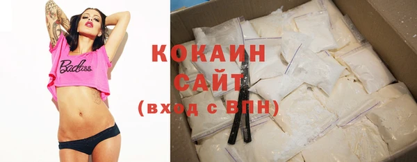 хмурый Белокуриха