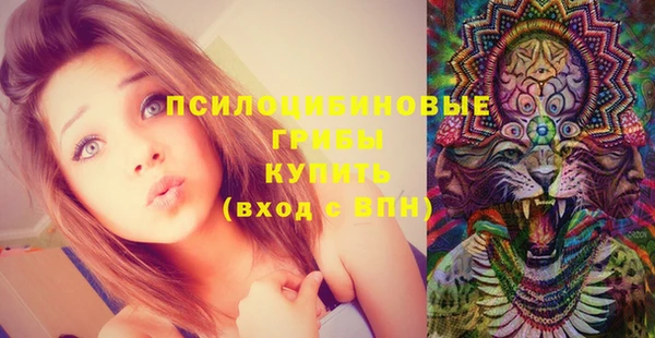 хмурый Белокуриха