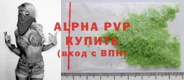 хмурый Белокуриха
